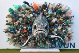 Obras de arte feitas com resíduos do mar