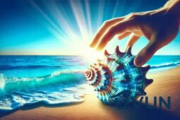 A simbologia da concha em diferentes culturas